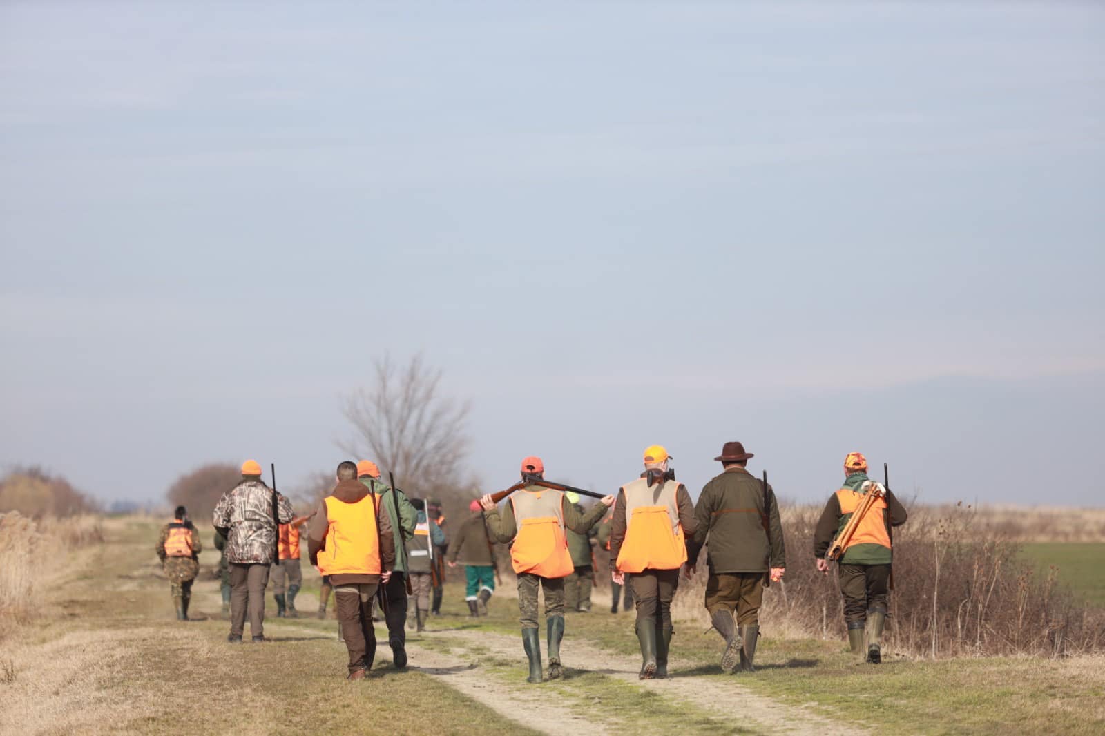 Turistička organizacija Alibunar