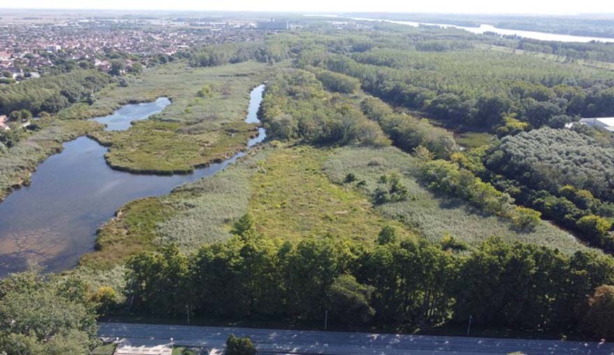 Turistička organizacija Bačka Palanka
