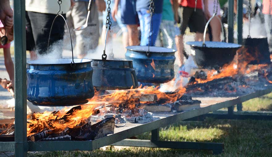 Turistička organizacija Apatin