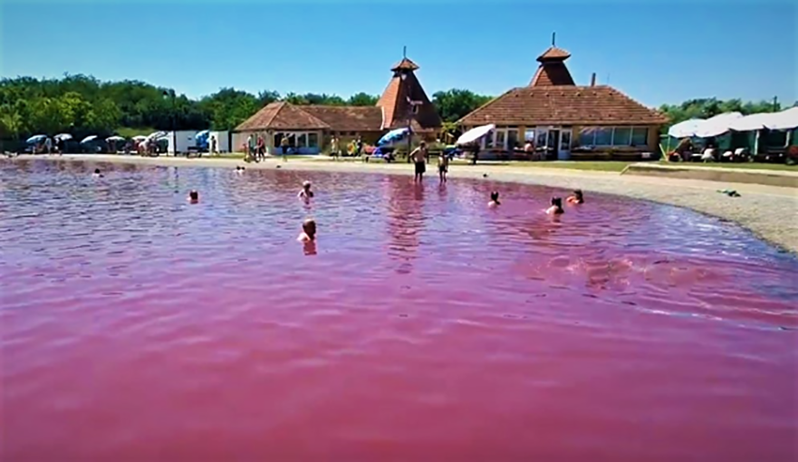 Turistička organizacija Bačka Topola