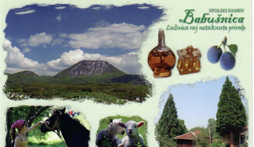 Turistička organizacija Babušnica