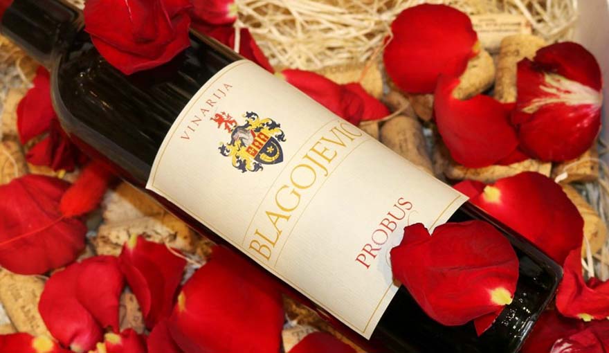 Turistička organizacija Aranđelovac