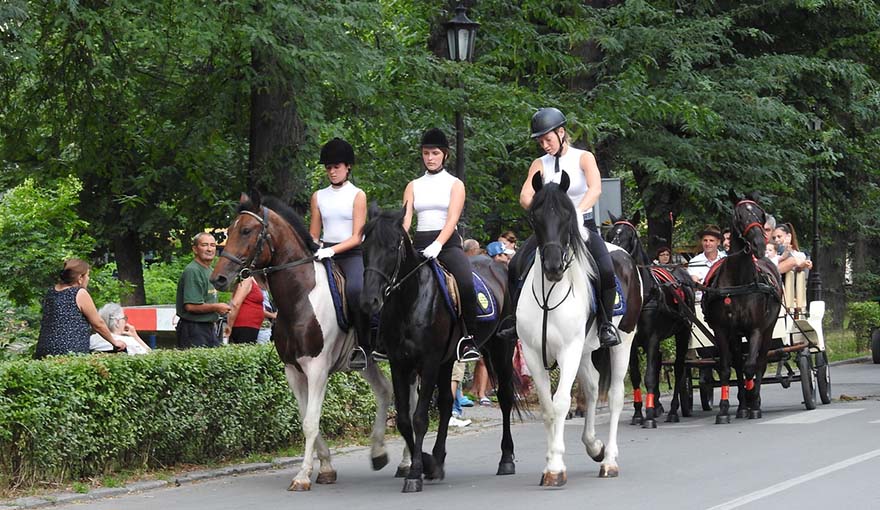 Turistička organizacija Apatin