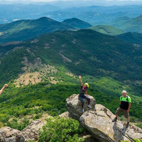 Turistička organizacija Bojnik