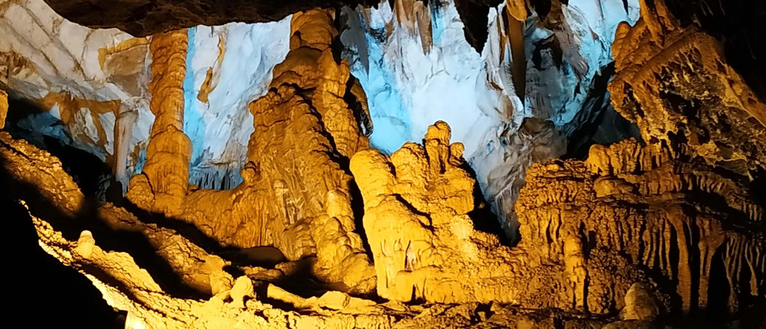 Turistička organizacija Boljevac