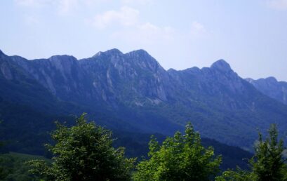 Turistička organizacija Bor