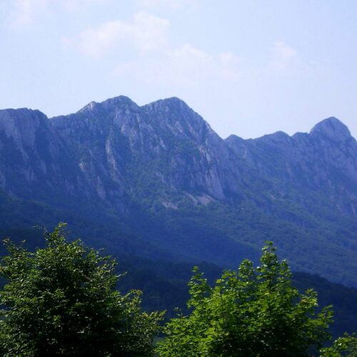 Turistička organizacija Bor