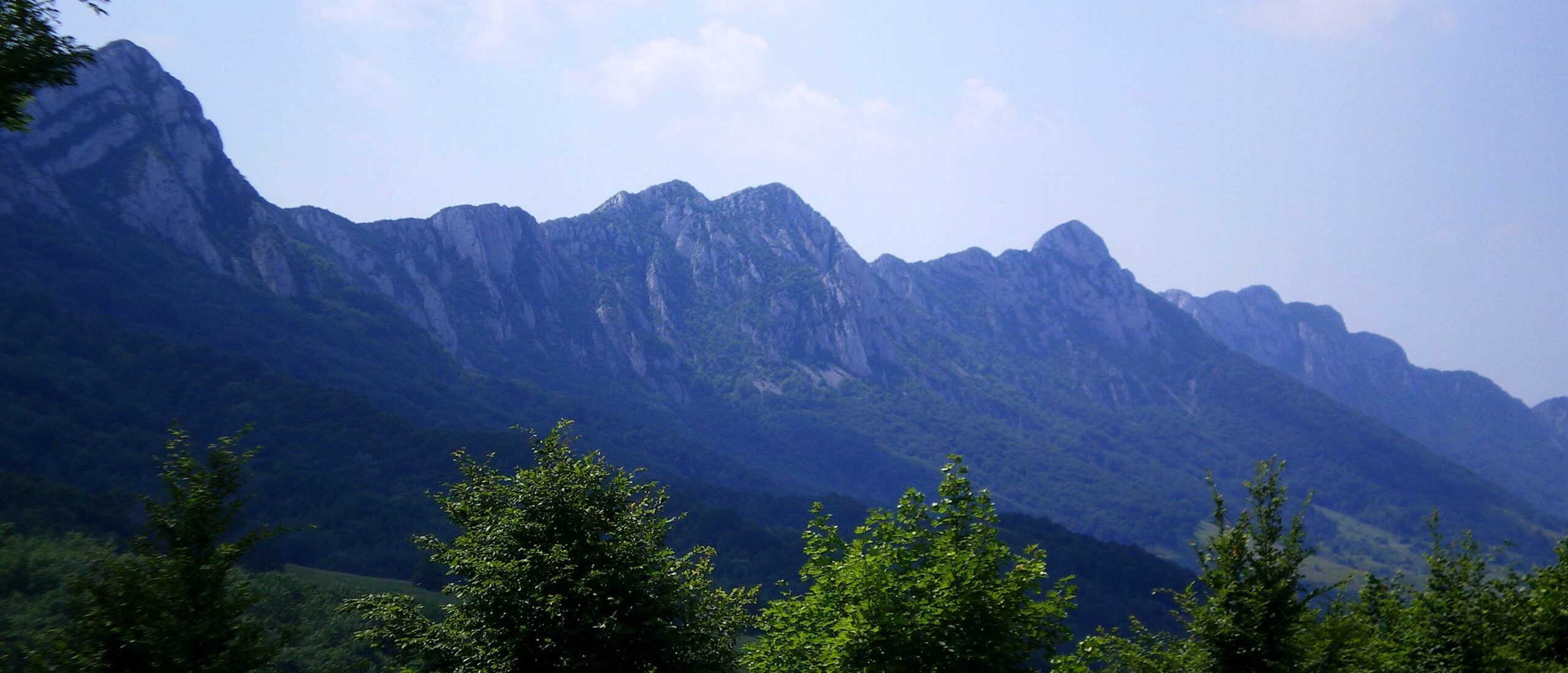 Turistička organizacija Bor