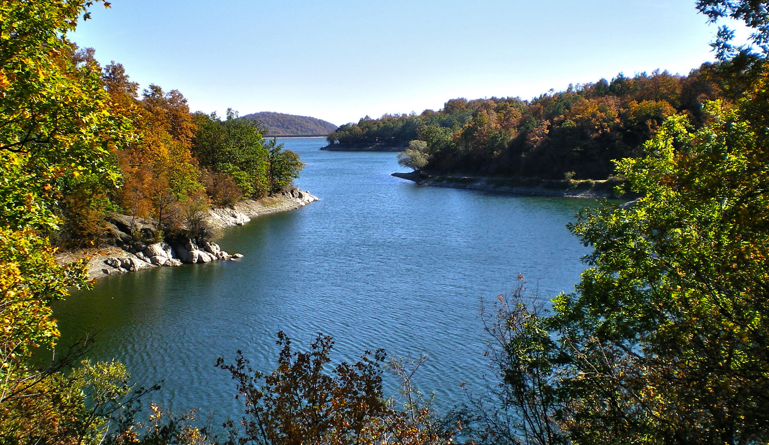 Turistička organizacija Bor