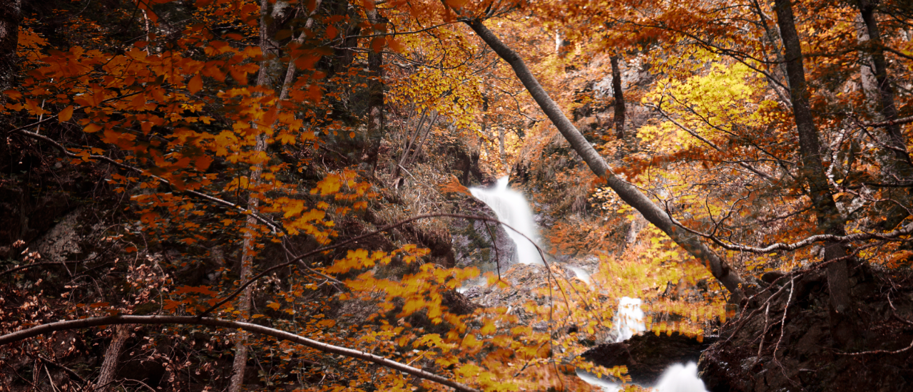 Turistička organizacija Brus